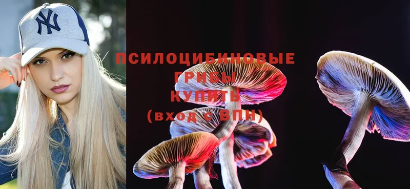 Галлюциногенные грибы MAGIC MUSHROOMS  Белая Калитва 